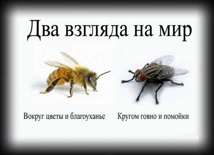 карты реальности