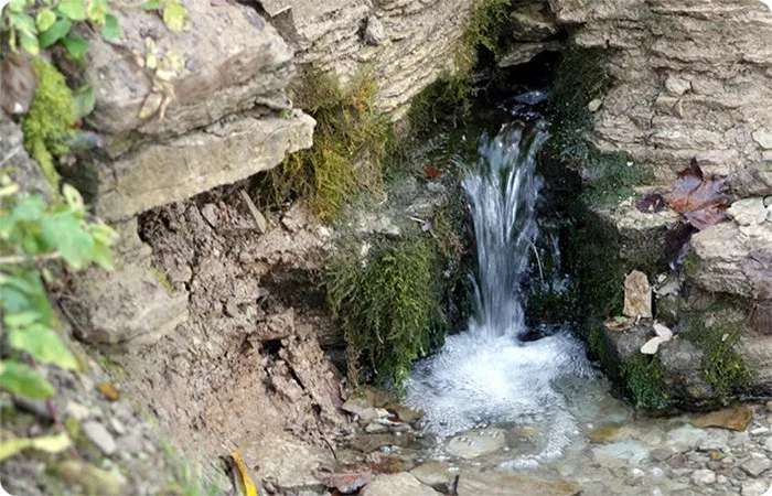 Какую воду лучше пить