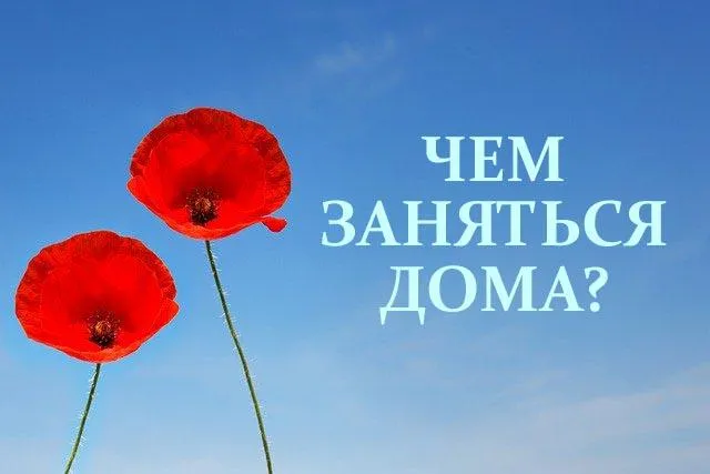 Что делать во время карантина дома