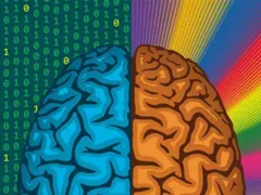 Какое полушарие мозга доминирует: как узнать и на что это влияет